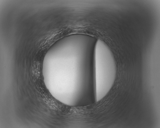 X0000086091301200703231105