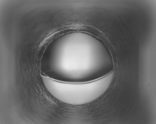 X0000086091304200703231105