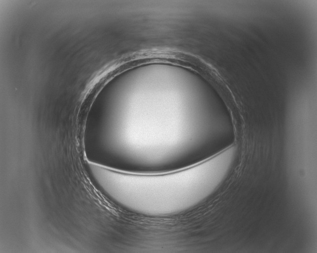 X0000086091312200703231106