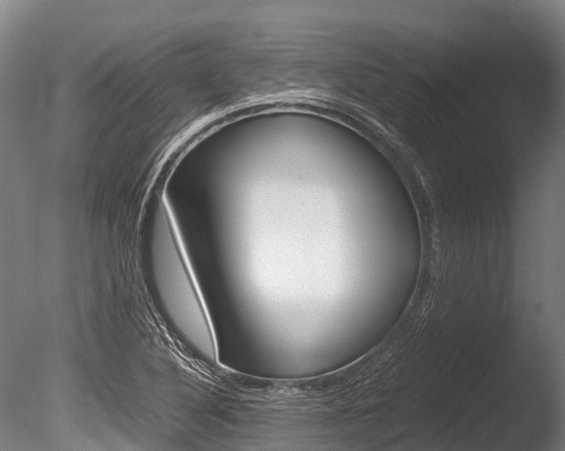 X0000086091316200703231106