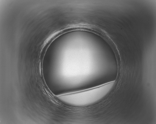 X0000086091320200703231106