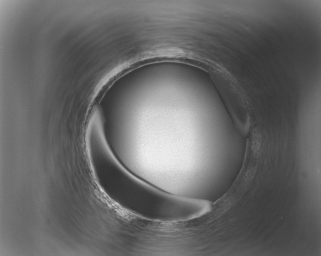 X0000086091326200703231106