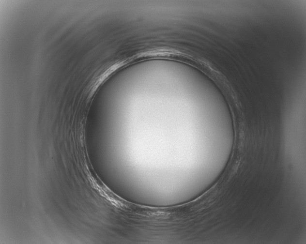X0000086091329200703231106