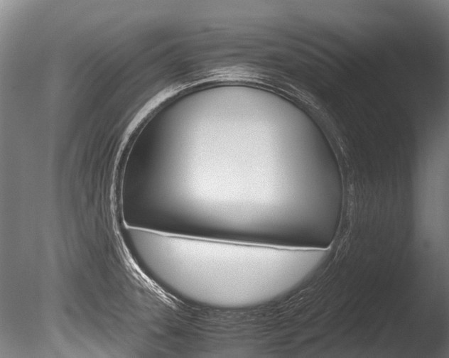 X0000086091331200703231106