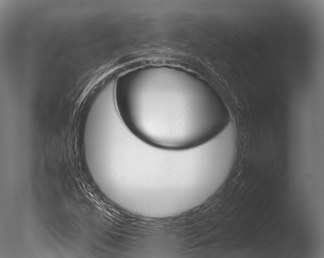 X0000086091352200703231105