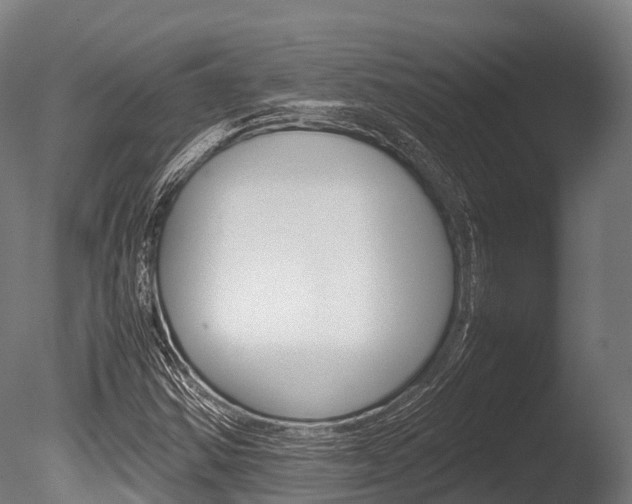X0000086091354200703231105