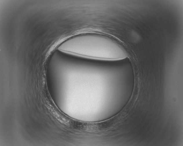 X0000086091363200703231105