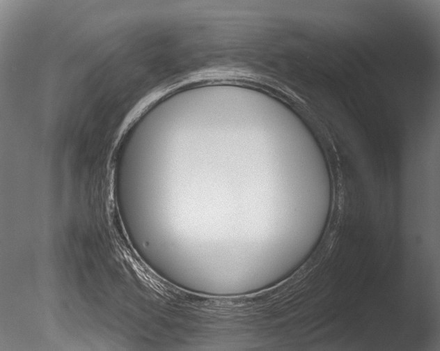 X0000086091366200703231105