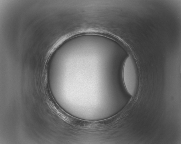 X0000086091367200703231105