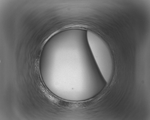X0000086091369200703231105