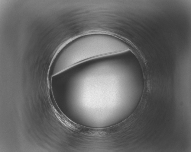 X0000086091372200703231105
