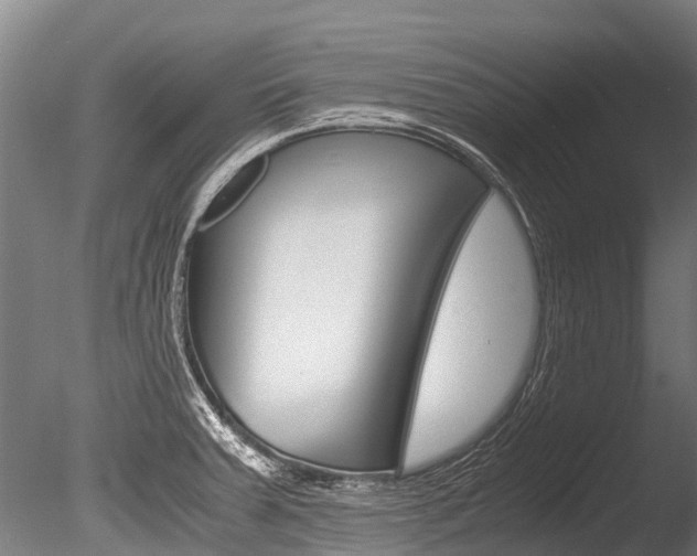 X0000086091379200703231105