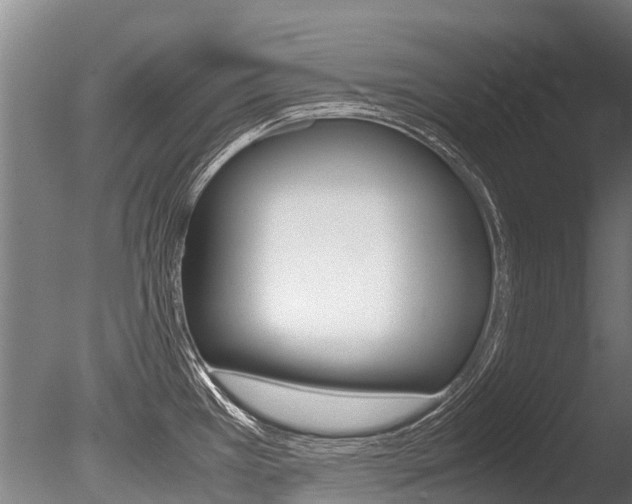 X0000086091385200703231105
