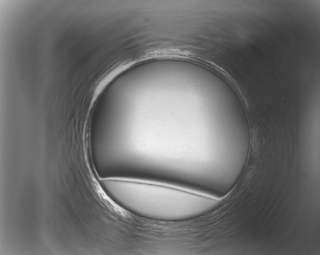 X0000086091387200703231105