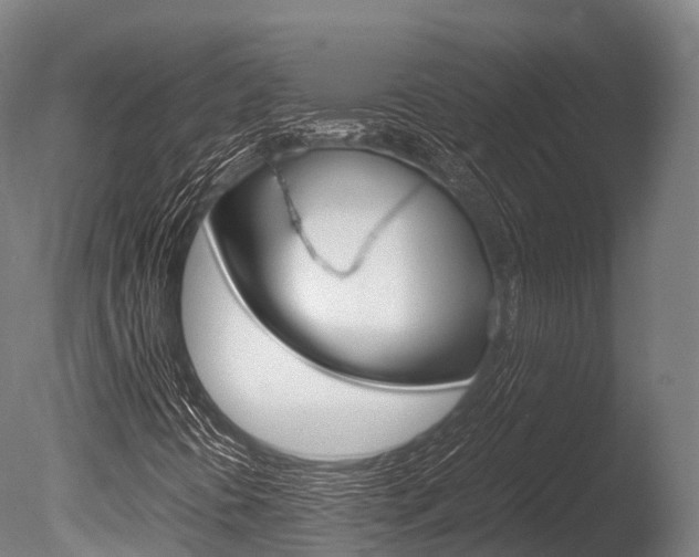 X0000086091394200703231104