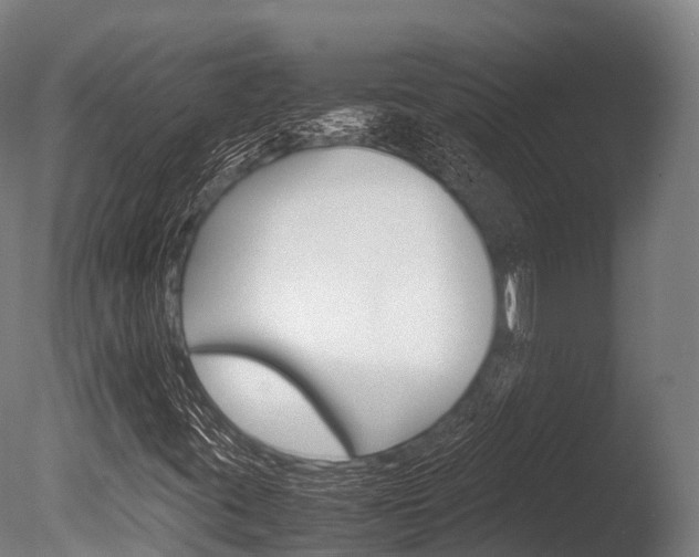 X0000086091395200703231104