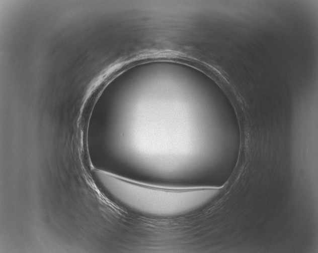 X0000086091414200703231104