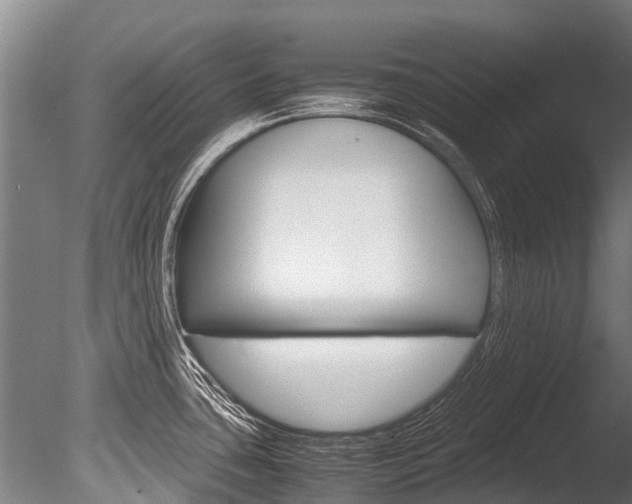 X0000086091435200703231104