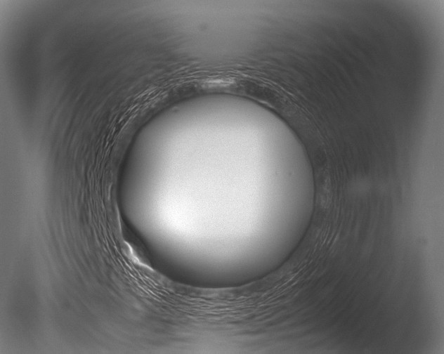 X0000086091441200703231104