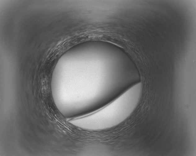 X0000086091445200703231104