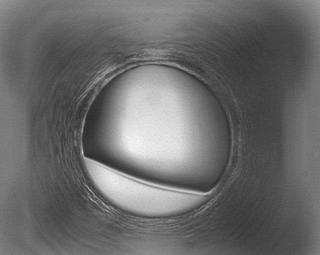 X0000086091449200703231103