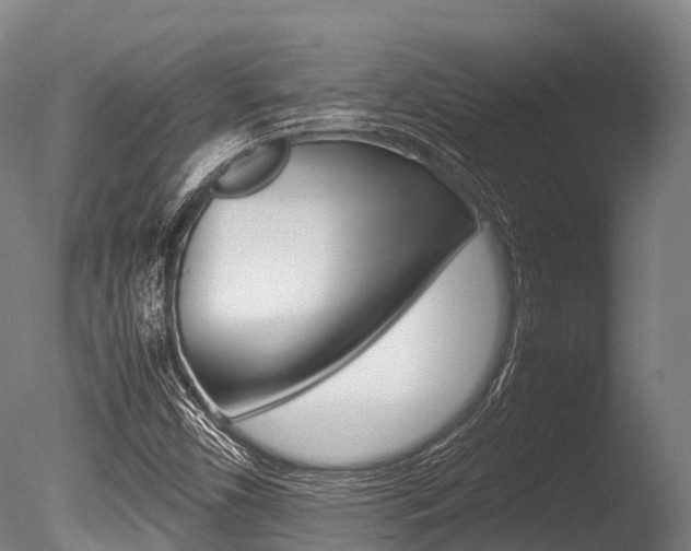 X0000086091450200703231103