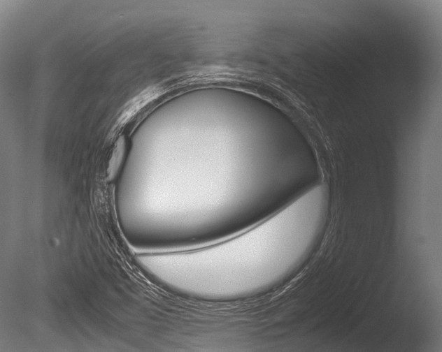 X0000086091453200703231103