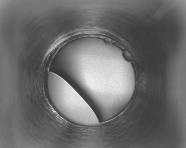 X0000086091456200703231103