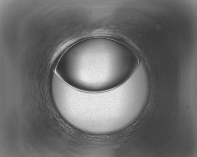 X0000086091461200703231103
