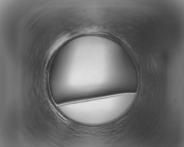 X0000086091463200703231103