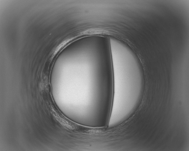 X0000086091465200703231103