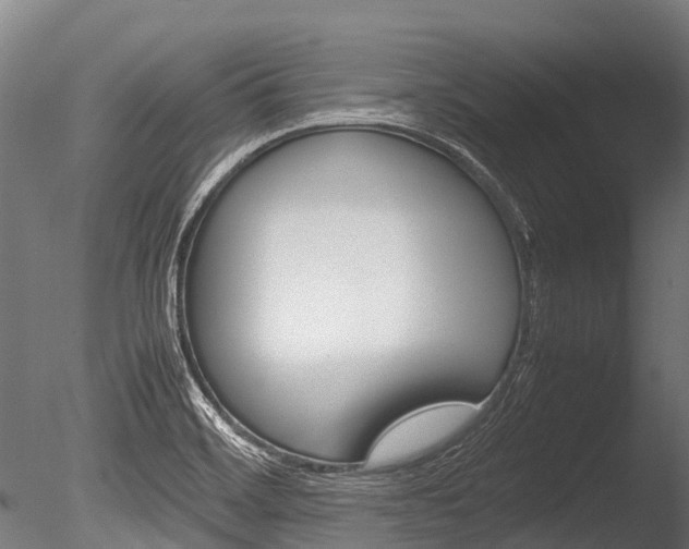 X0000086091468200703231103