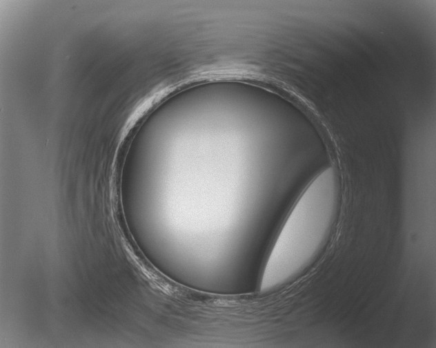 X0000086091469200703231103