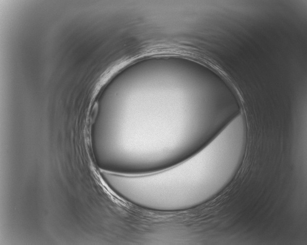 X0000086091485200703231103