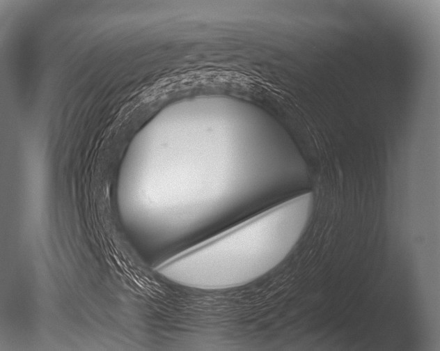X0000086091489200703231102