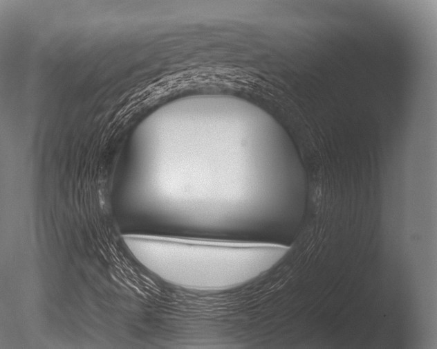 X0000086091490200703231102