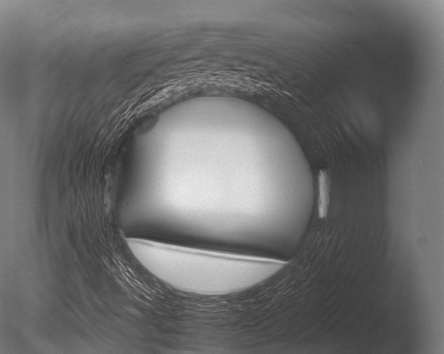 X0000086091491200703231102