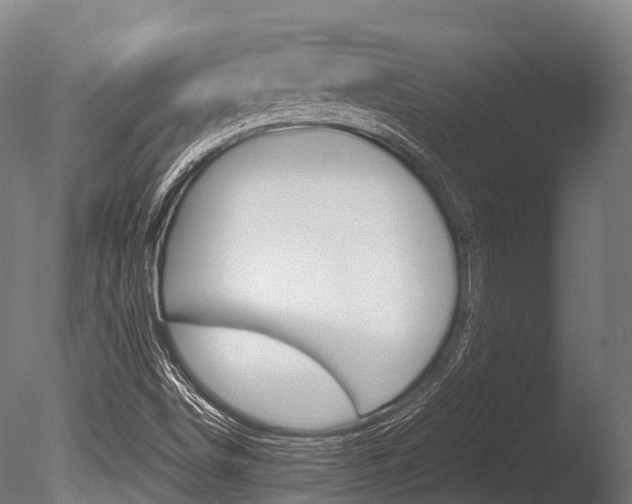 X0000086091498200703231102