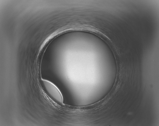 X0000086091506200703231102