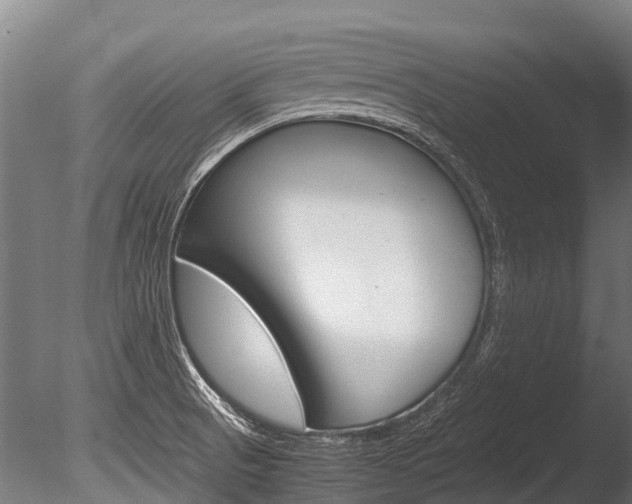 X0000086091521200703231102