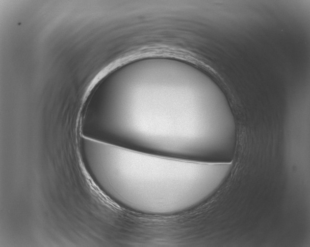 X0000086091522200703231102