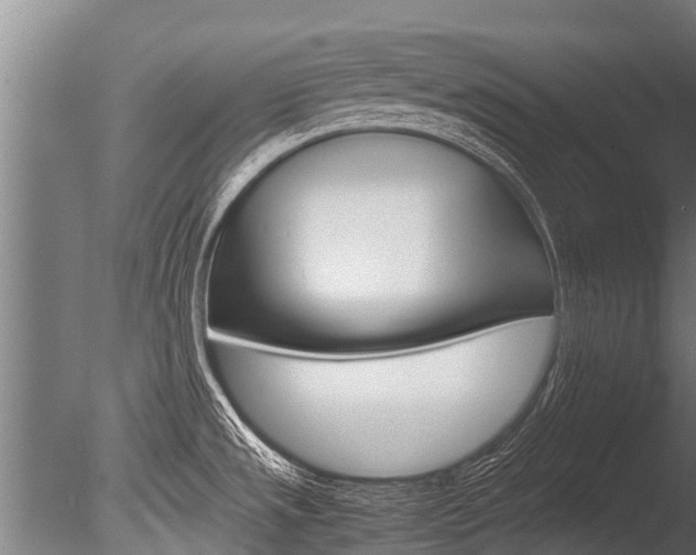 X0000086091533200703231103