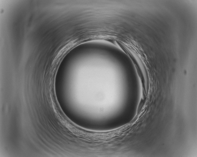 X0000086090001200703231442