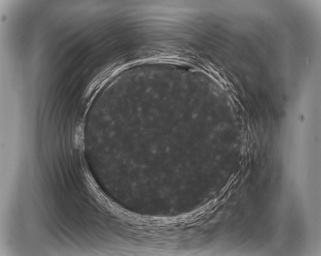 X0000086090002200703231442