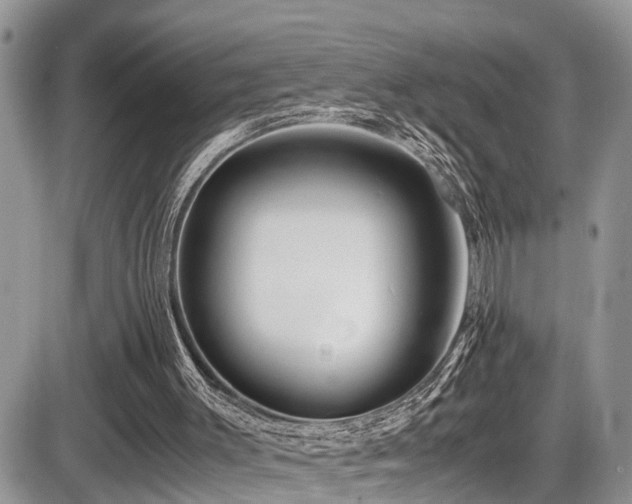 X0000086090003200703231442