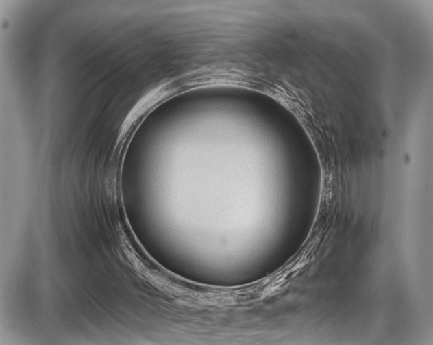 X0000086090004200703231442