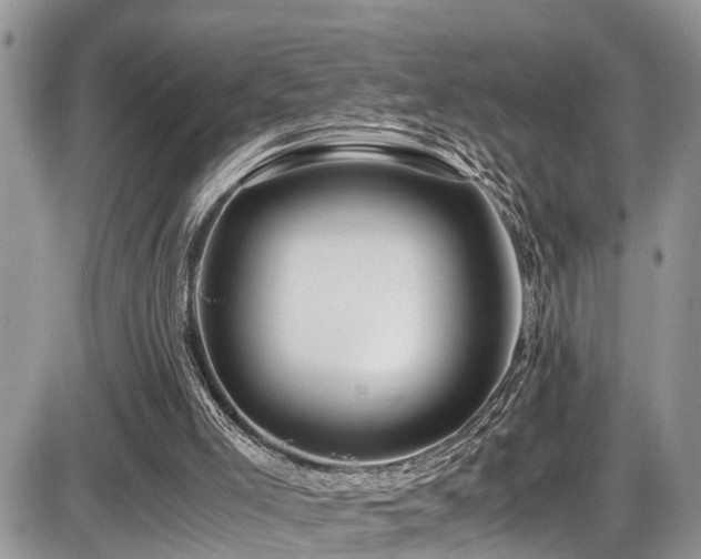 X0000086090005200703231442