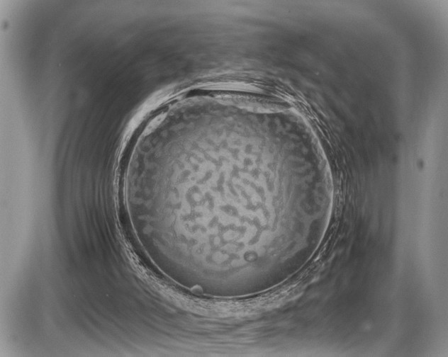 X0000086090006200703231442