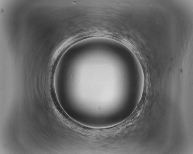 X0000086090007200703231442