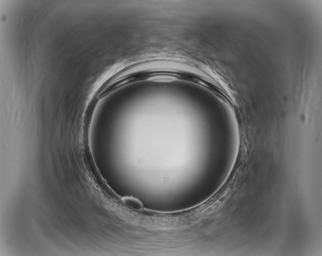 X0000086090008200703231442